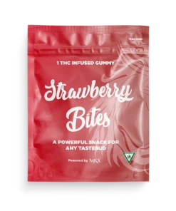 Strawberry Bites
