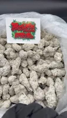 snow caps weed  snow caps weed snow cap weed weed snow caps snow caps flower snowcaps weed snow caps thca