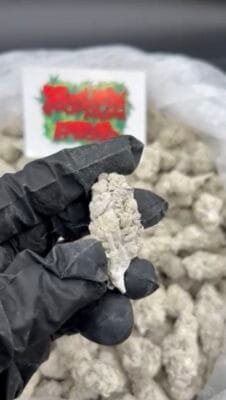 snow caps weed