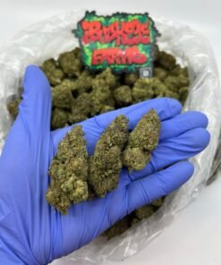modified grapes strain