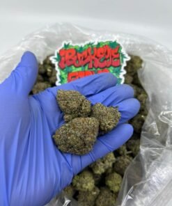 white truffles strain