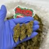 tangie weed strain