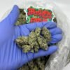 garlic runtz strain