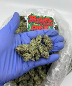 garlic runtz strain