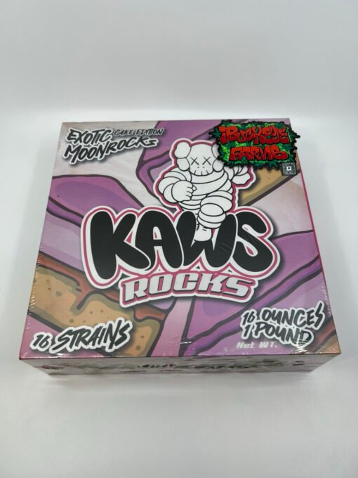 kaws moonrocks